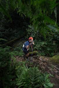 BIB: 
                            <button type="button" onclick="openModal(16030250)" class="btn btn-primary btn-sm float-right btn-popup" data-toggle="modal" data-target=".modal-high-quality">
                        <i class="fas fa-shopping-cart"></i> Add to Cart
                    </button>
                                            <button type="button" onclick="isThisMe(16030250, true)" class="btn btn-success btn-sm float-right btn-popup btn-isme hidden" data-toggle="tooltip" data-placement="bottom" title="นี่คือรูปของคุณใช่ไหม คลิกที่นี่เพื่อเอาเข้าอัลบั้ม">
                        <i class="fas fa-plus"></i> Add to album
                    </button>
                    <button type="button" onclick="isThisMe(16030250, false)" class="btn btn-warning btn-sm float-right btn-popup btn-isnotme hidden">
                        <i class="fas fa-ban"></i> Remove from album
                    </button>